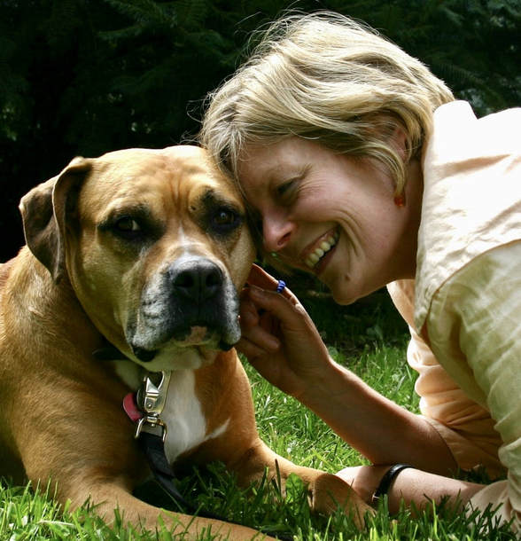 pets and animal